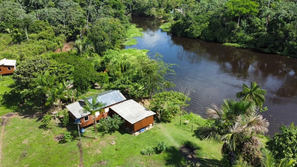 Instituto Jiboia Branca