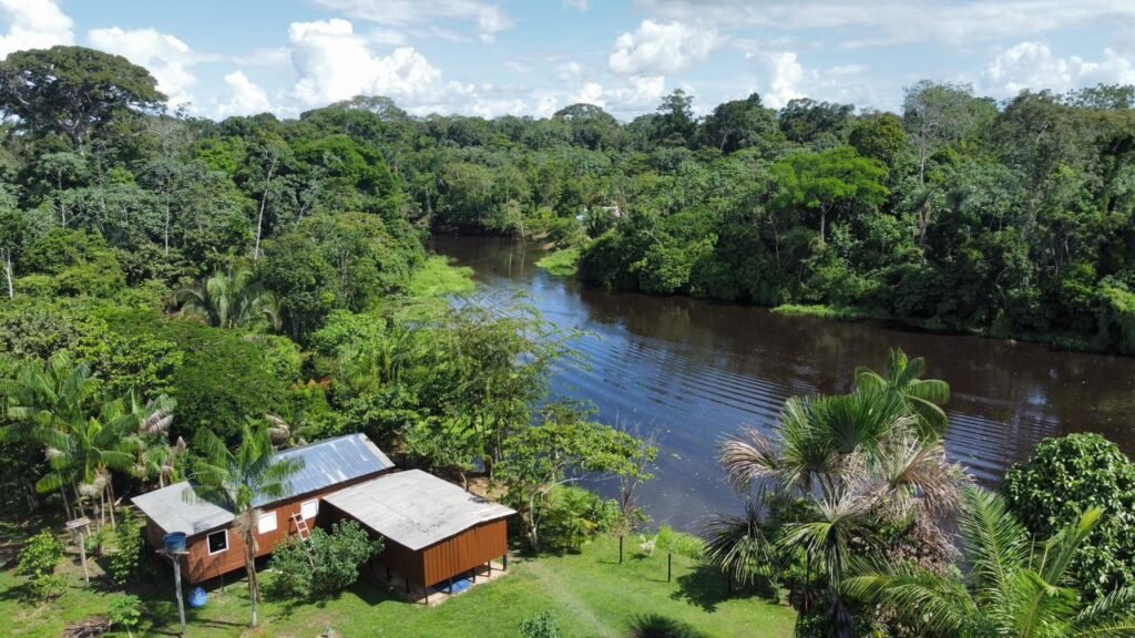 rio croa jiboia branca