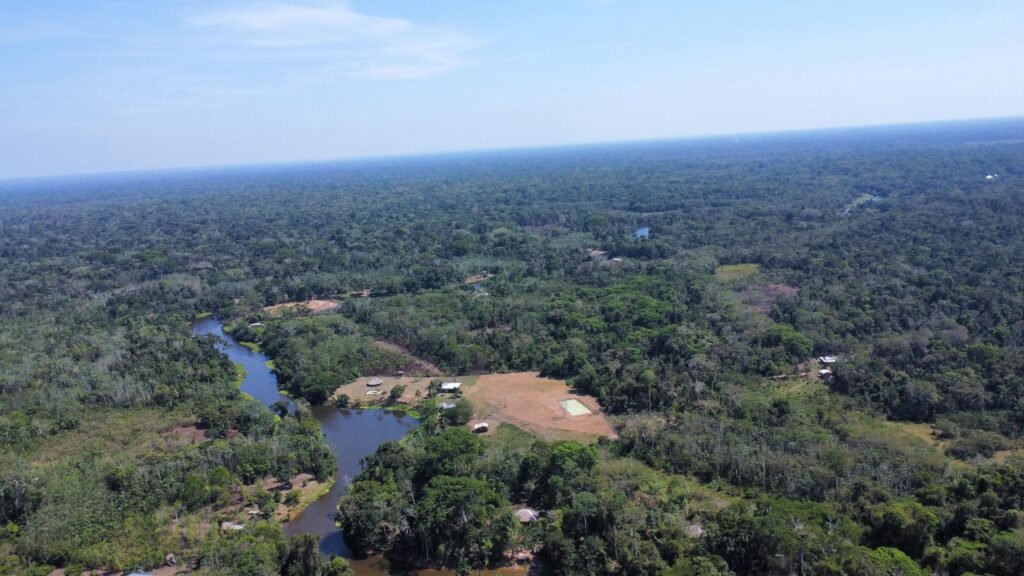 Instituto Jiboia branca acre