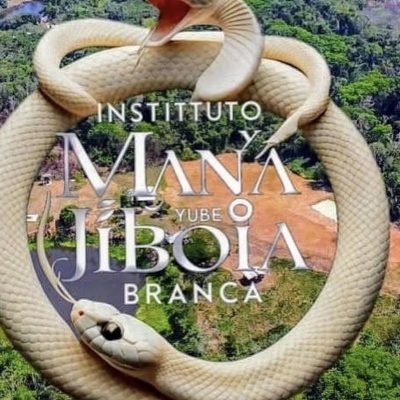 Logo Jiboia Branca
