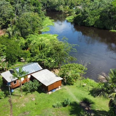 Instituto Jiboia Branca