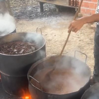 Feitio de ayahuasca