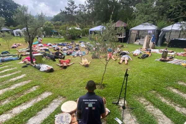 jornada de animal de poder vimana dreans